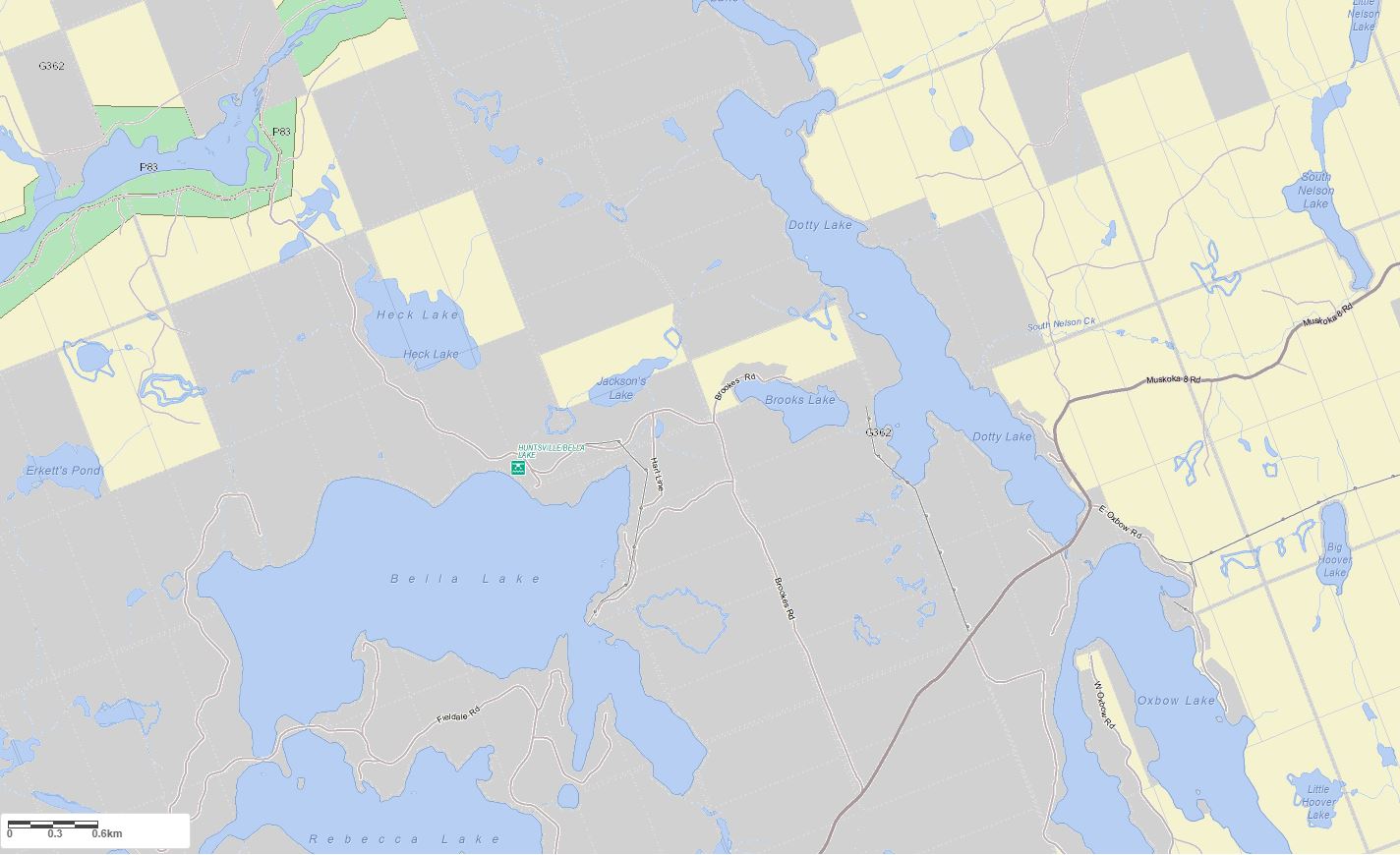 Crown Land Map of Brooks Lake in Municipality of Lake of Bays and the District of Muskoka